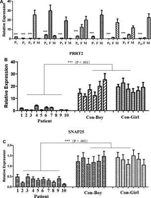 Clinical characteristics and genetics of ten Chinese children with PRRT2-associated neurological diseases